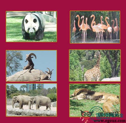 Chapultepec:墨西哥查普尔特佩克动物园