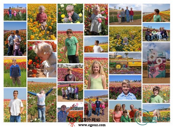 Collage:免费在线照片拼图工具 Collage:免费在线照片拼图工具