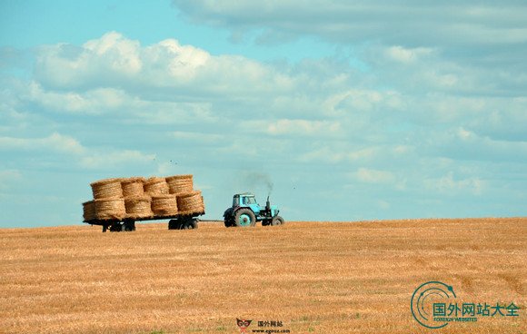 UnSplash:免费高清壁纸分享网 UnSplash:免费高清壁纸分享网