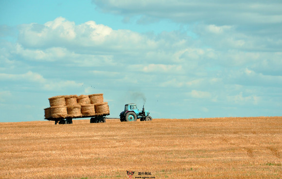UnSplash:免费高清壁纸分享网 UnSplash:免费高清壁纸分享网