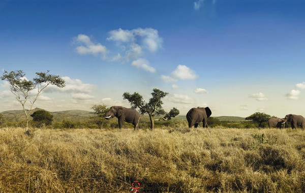 CityguideAa:南非都市旅游指南 CityguideAa:南非都市旅游指南