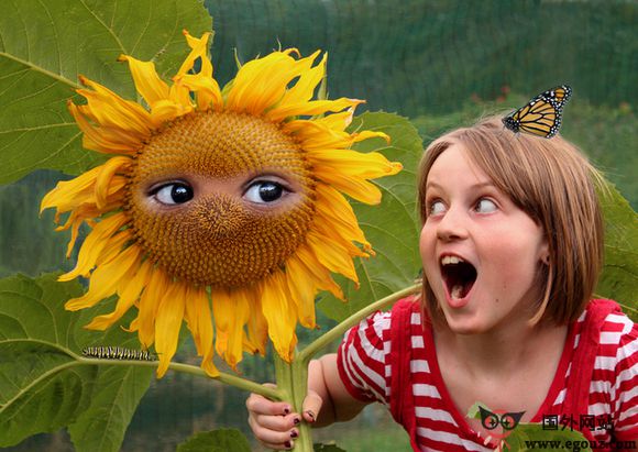 新西兰摄影协会官网 新西兰摄影协会官网