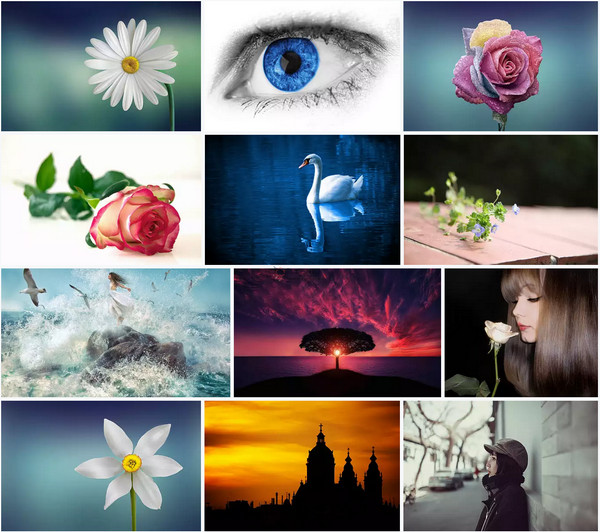 699PIC:摄图免费正版摄影图片网 699PIC:摄图免费正版摄影图片网