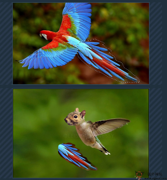 10Steps.SG:PS教程资源分享网 10Steps.SG:PS教程资源分享网