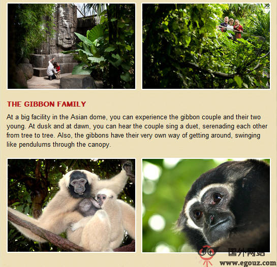 RegnsKoven:丹麦兰德斯热带动物园 RegnsKoven:丹麦兰德斯热带动物园