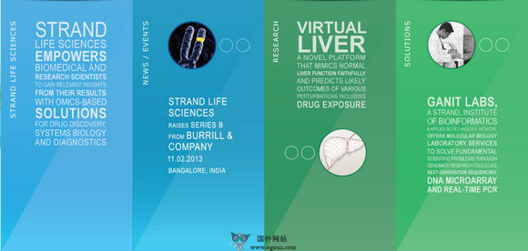 印度Strandls制药生物公司 印度Strandls制药生物公司