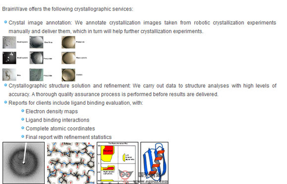 BrainWave.in:印度生物资讯科技公司 BrainWave.in:印度生物资讯科技公司