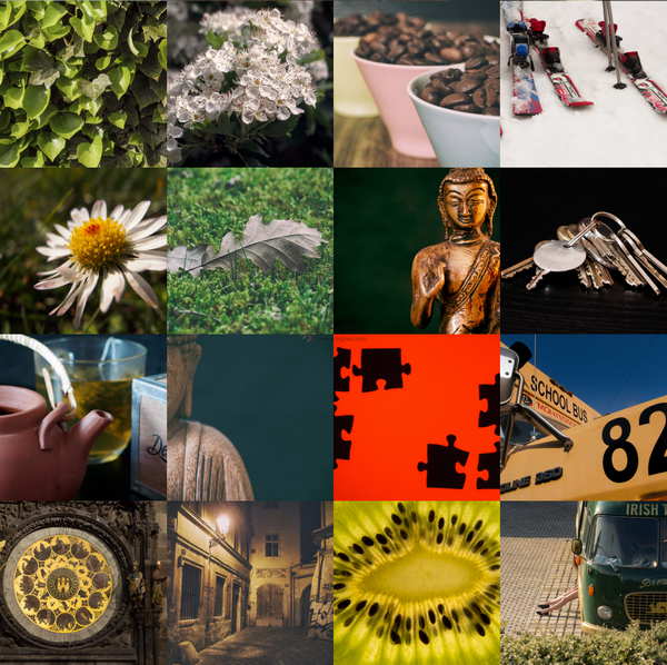 LibreShot:免费公共摄影图库 LibreShot:免费公共摄影图库