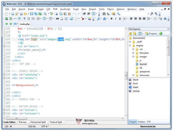 BlumenTals:网页设计软件开发平台