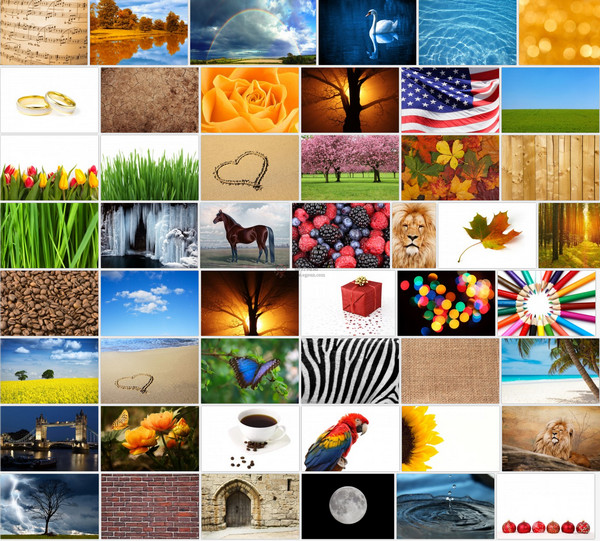 PublicDomainPic:公共领域图片库 PublicDomainPic:公共领域图片库