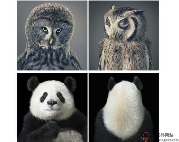 英国TimFlach摄影师作品网