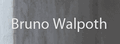 Bruno Walpoth木雕作品网 Logo