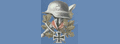 轴心国历史论坛 Logo