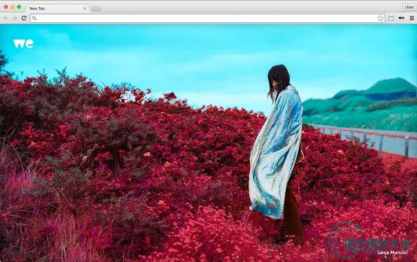 WeTransfer Chrome 分页图片