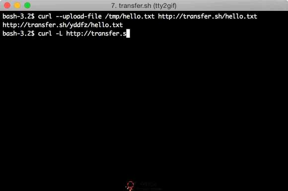 Transfer.sh:命令行式文件分享网